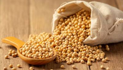 Discover 10 Incredible Health Benefits Of Including Plant-Based Protein In Your Daily Diet