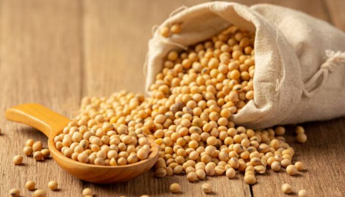 Discover 10 Incredible Health Benefits Of Including Plant-Based Protein In Your Daily Diet