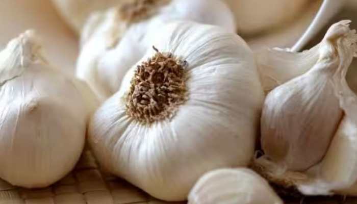 Garlic Cultivation In Himachal Expanded To 4,000 Hectares: Experts 