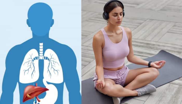 International Yoga Day 2025 Best Yoga Asanas To Reverse Fatty Liver And Fight Obesity Naturally