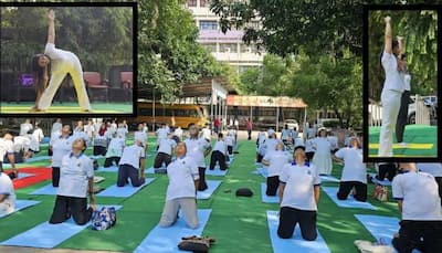 International Yoga Day 2025: Best Yoga Poses for Each Life Path Number