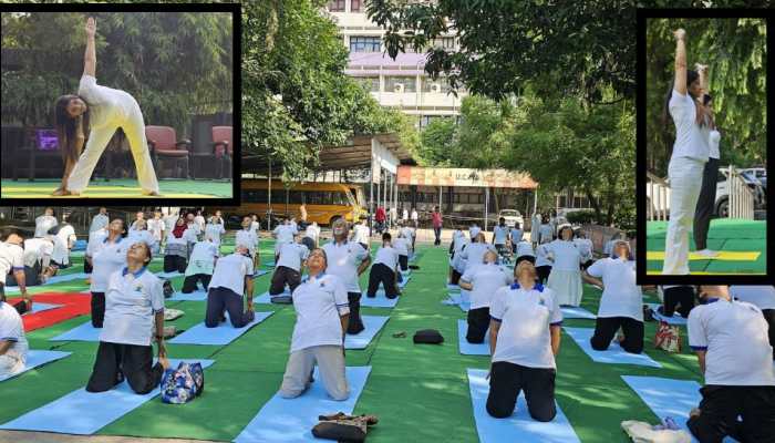 International Yoga Day 2025: Best Yoga Poses for Each Life Path Number