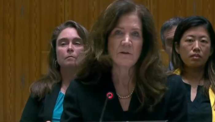 US Envoy's Fumble At UN: Blames Israel For Middle East Chaos By Mistake, Quickly Points To Iran | VIDEO US Envoy's Fumble At UN: Blames Israel For Middle East Chaos By Mistake, Quickly Points To Iran | VIDEO
