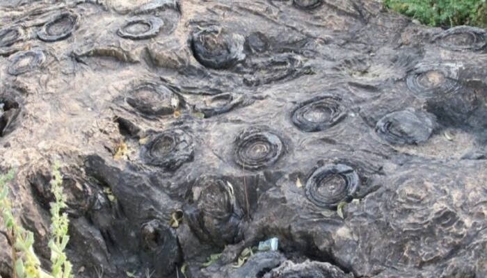 UP’s Salkhan Fossils Park Joins UNESCO’s Tentative World Heritage List