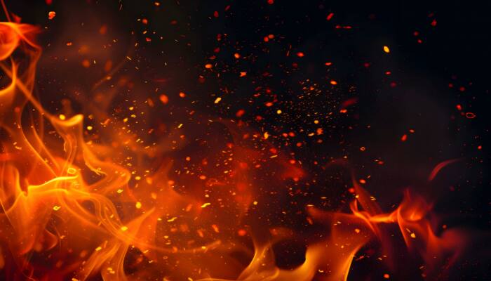 West Bengal Blast: Teen Girl Dies After Explosion In Kaliganj, CM Mamata Banerjee Reacts