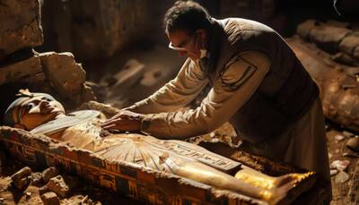 Meet Pharaoh’s Fungus: From 'Ancient Curse' To Cancer Cure, Scientists