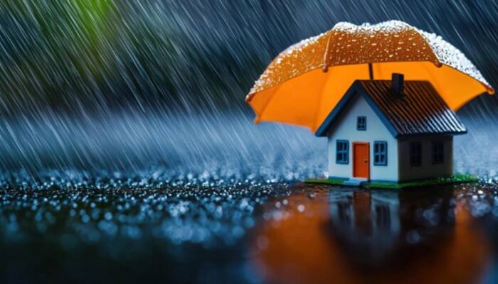 Say Goodbye To Musty Home Smells: Check THESE 5 Effective Yet Simple Home Care Tips To Tackle Monsoon Challenges