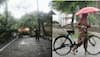 Weather Update: Rain Lashes Parts Of Delhi; IMD Issues Red, Orange, Yellow Alerts In Multiple States 