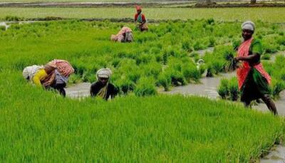 Tamil Nadu Farmers Forced To Seek Private Money Lenders For Crop Loan Due To