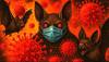 Nipah Hendra related virus