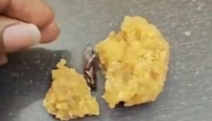 Cockroach In Prasad? Viral Video Sparks Outrage At Srisailam Temple 