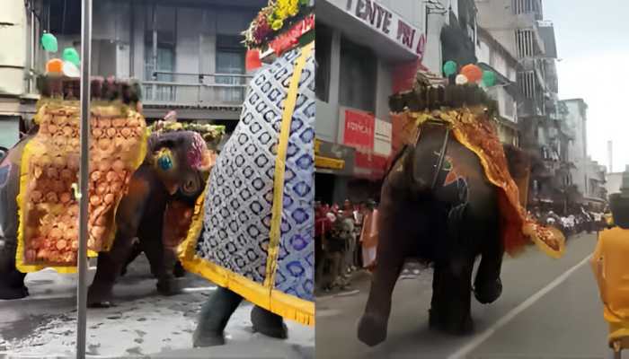 Ahmedabad Rath Yatra: Elephants Panic Mid-Procession, Chaos Caught on Video