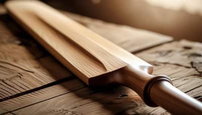 Best Cricket Bats for Every Level of Play