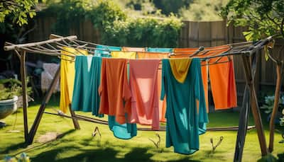 Best Drying Racks for Convenient and Space-Saving Laundry