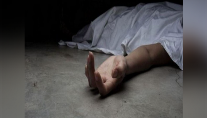Mother-Son Duo Murdered In Delhi's Lajpat Nagar By Servant, Police Arrests Accused