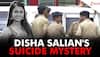 disha salian latest