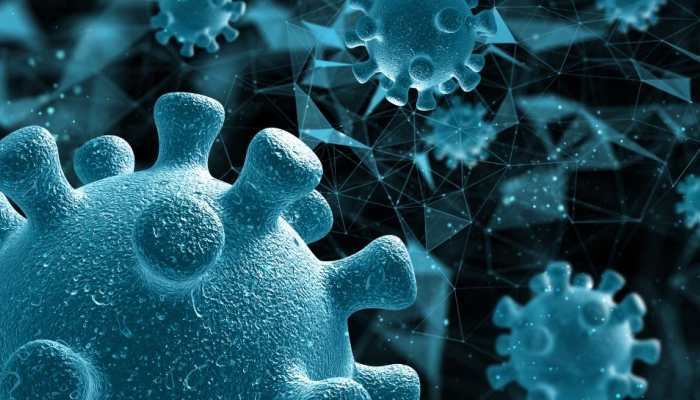 Is Nipah Virus Back? Cases In THESE Districts Of Kerala Spark Fresh Concern Is Nipah Virus Back? Cases In THESE Districts Of Kerala Spark Fresh Concern