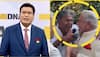 DNA Analysis: Fugitive Tycoons Lalit Modi, Vijay Mallya's Viral Singing Video Sparks Anger