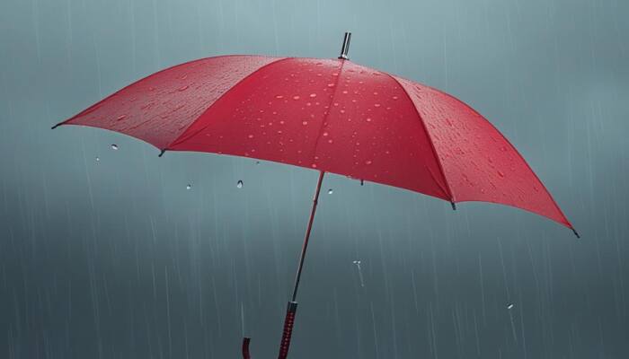 Best Umbrellas to Grab During Amazon Prime Day Sale 12th to 14th July