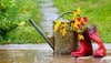 10 Genius Tips To Keep Your Plants Thriving During Monsoons - Number 7 Will Surprise You!