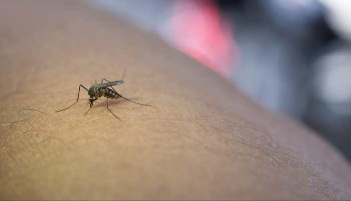 Goa Targets Malaria-Free Status by 2025–26: Health Minister Rane Outlines Roadmap Goa Targets Malaria-Free Status by 2025–26: Health Minister Rane Outlines Roadmap