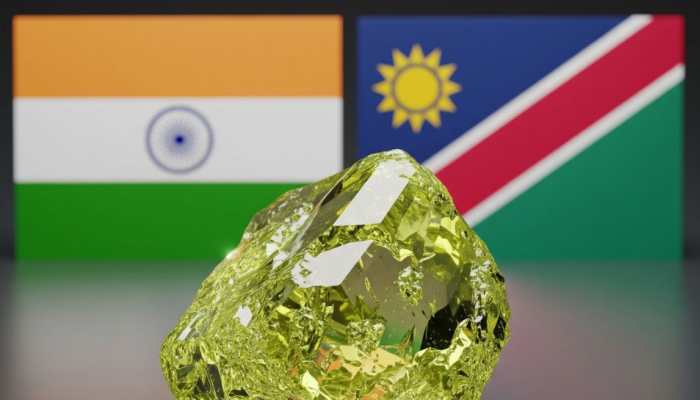 India Looking To Import Uranium From Namibia: Indian Envoy Ahead Of PM Modi’s Visit