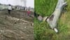 Rajasthan Plane Crash: Both Pilots Killed In Jaguar Trainer Aircraft Accident, Says Indian Air Force