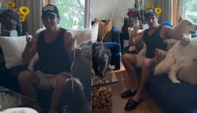 Zayed Khan Gets Heartfelt Birthday Surprise From Family, Candid Celebration Video Goes Viral - WATCH 