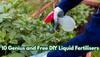 10 Genius DIY Liquid Fertilisers You Can Make at Home for Lush, Happy Plants