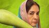 Panchayat 5: Neena Gupta Teases Election Drama In Light-Hearted Conversation