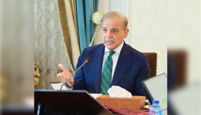 Shehbaz Sharif Denies Use Of Nuclear Weapons During Conflict With India, Says 'Pak's Nuke Not For Aggression'
