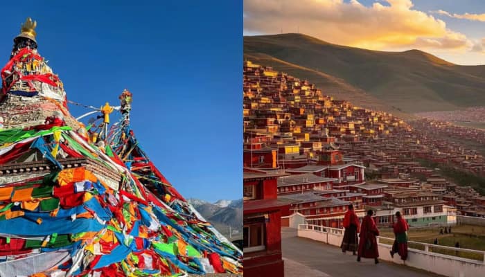 Tibet-Related Issue 'Thorn' In India-China Relations? Ahead Of EAM Jaishankar's First Visit In Five Years, Beijing Says…
