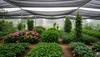 prevent waterlogging in garden
