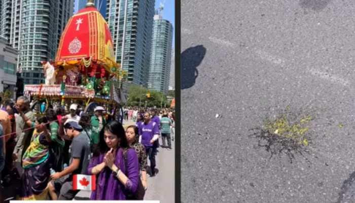 Egg Thrown at Rath Yatra in Toronto Sparks Outrage; India Calls It 'Regrettable'