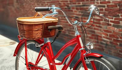 Best Bicycles to Enjoy a Healthier, Happier Ride