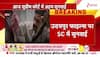 udaipur files release hearing