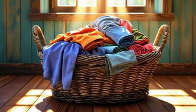 Best Laundry Baskets to Keep Your Space Tidy and Organized