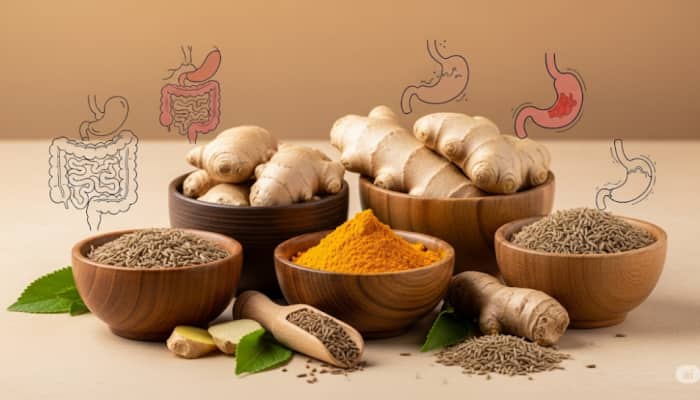  7 Natural  Remedies For Common Monsoon Stomach Issues