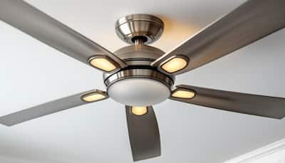 Top Fans for Modern Homes