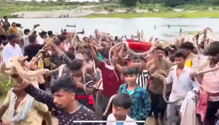 Venom And Devotion: Live Snakes Star In Bihar's Samastipur Nag Panchami Festival, Rituals Go Viral
