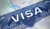 Amid Stricter Visa Scrutiny, US Universities Could See 70-80% Drop In Indian Students: Report