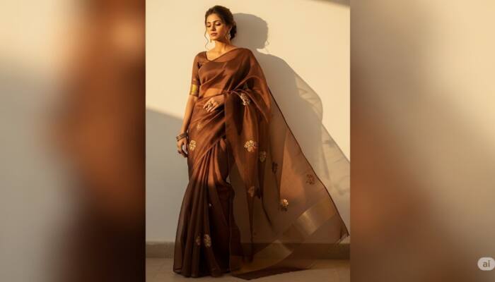 Grab Now: Must-Have Brown Monochromatic Sarees at Myntra