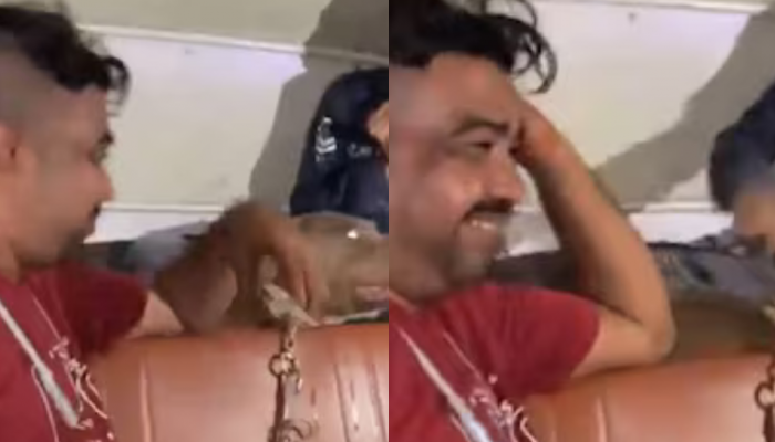 Outrage After Viral Video Shows Laughing Owner As Pit Bull Bites Child | WATCH Outrage After Viral Video Shows Laughing Owner As Pit Bull Bites Child | WATCH