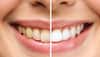 Dentist