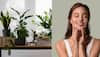 5 Incredible Indoor Plants You Can Grow At Home That Offer Amazing Skincare Benefits