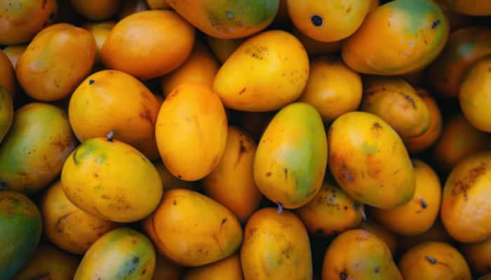 World Mango Day 2025:  Discover Its Surprising Health Benefits And 5 Easy Ways To Try It 
