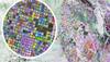 Giant Mysterious Circles In Saudi Desert Baffle Internet – What’s Going On Beneath The Sand?