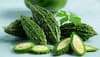 Bitter But Better: 7 Surprising Benefits Of Bitter Gourd You’ll Love