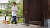 Unlock The Secret To Japan’s Long Life: 30-Minute Daily Walking Habits That Improve Health Naturally