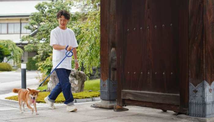 Unlock The Secret To Japan’s Long Life: 30-Minute Daily Walking Habits That Improve Health Naturally
